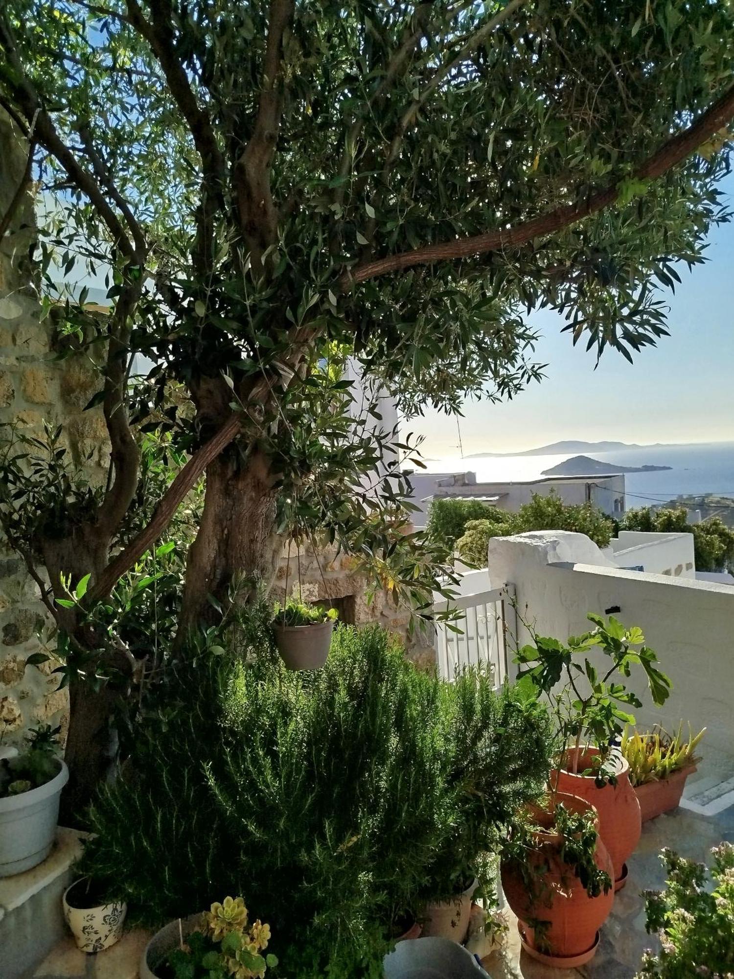 Manos House In Chora Villa Patmos Town Exterior photo